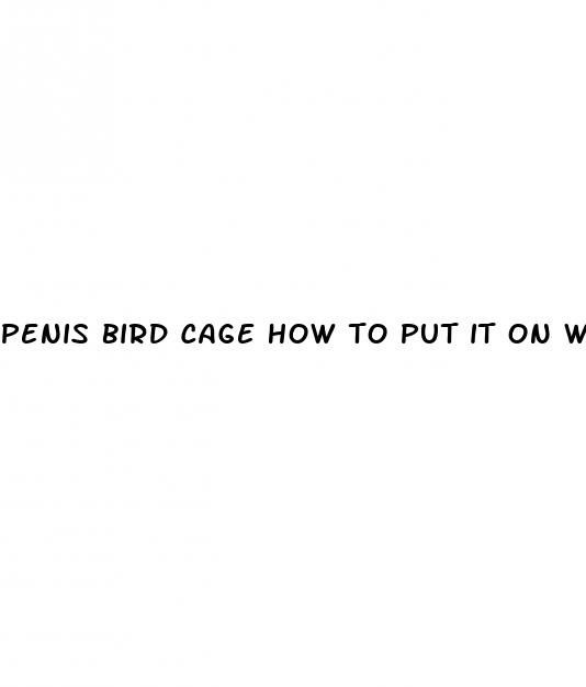 penis bird cage how to put it on while erect