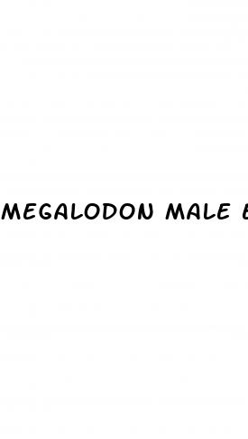 megalodon male enhancement reviews