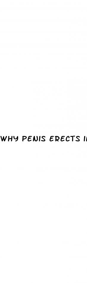 why penis erects in morning