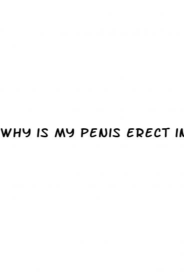 why is my penis erect in the morning