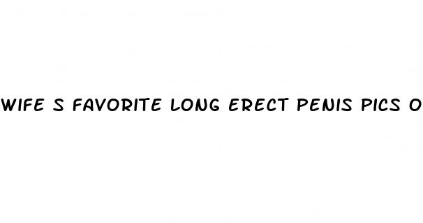 wife s favorite long erect penis pics on tumblr