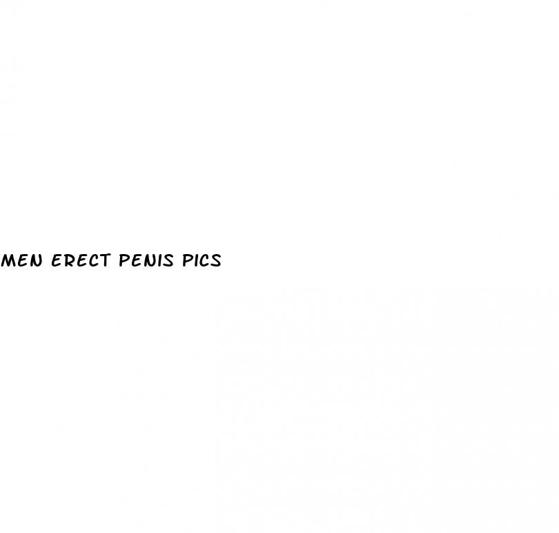 men erect penis pics