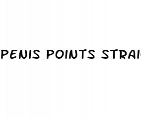 penis points straight up when erect
