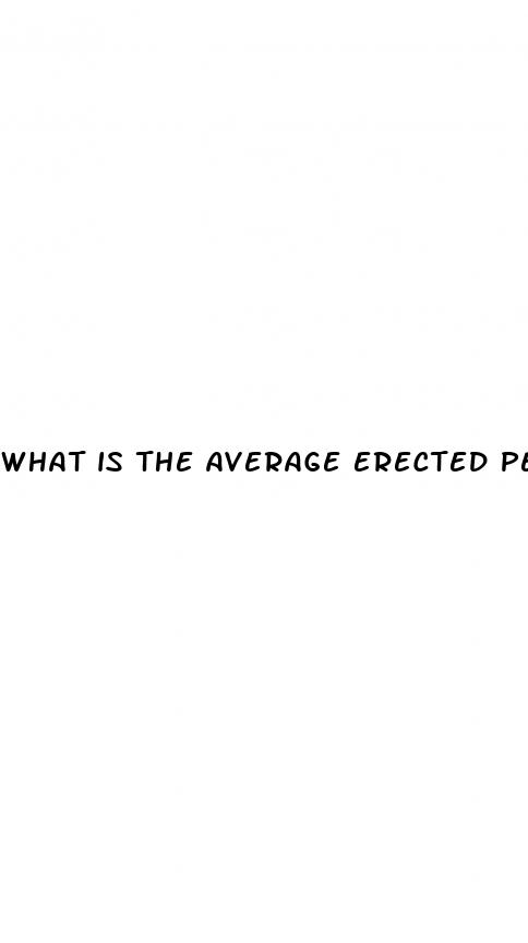 what is the average erected penis