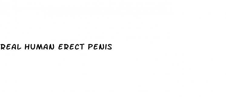 real human erect penis