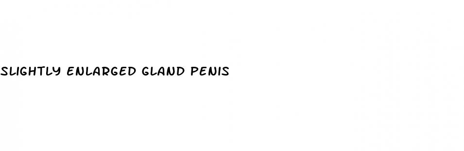 slightly enlarged gland penis