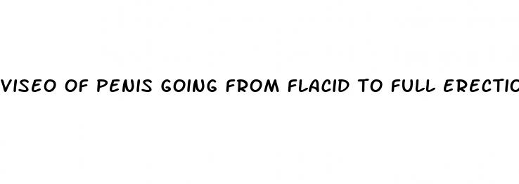 viseo of penis going from flacid to full erection