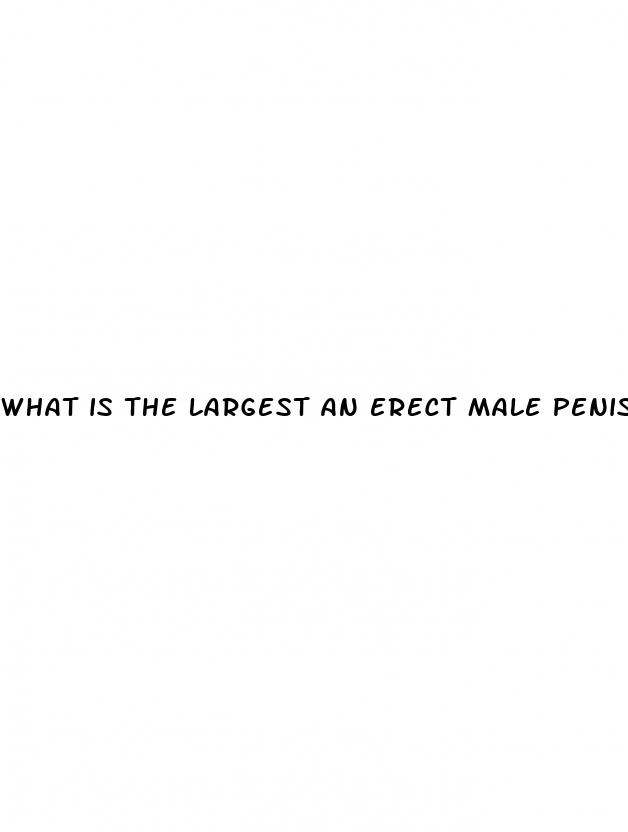 what is the largest an erect male penis gets