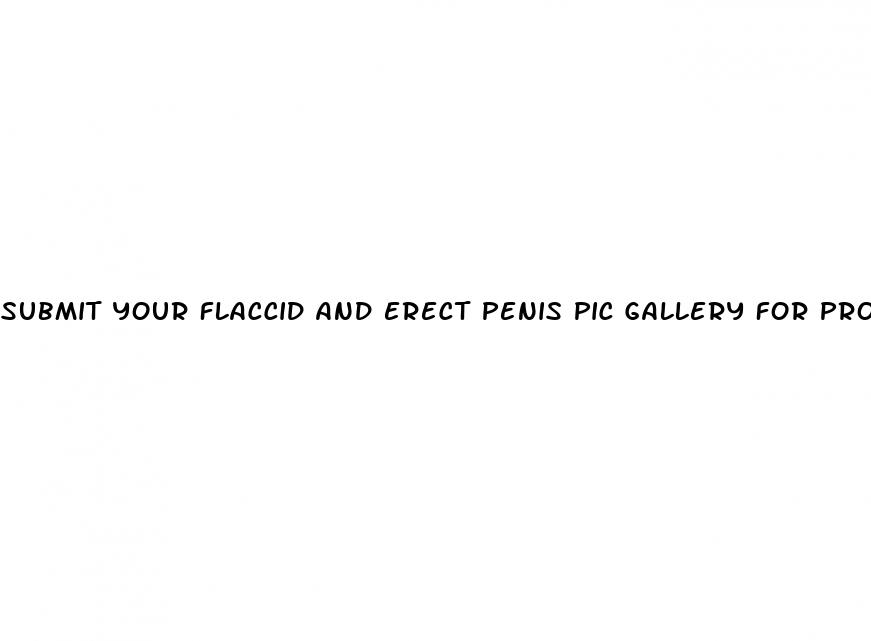 submit your flaccid and erect penis pic gallery for project