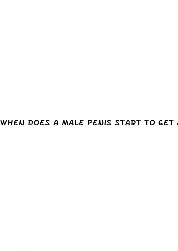 when does a male penis start to get a erection