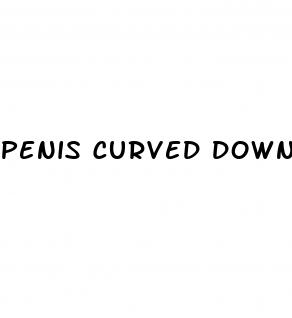 penis curved down when erect