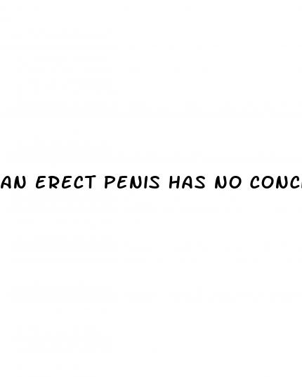 an erect penis has no conciense