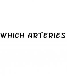 which arteries allow penis to get erection