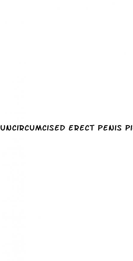 uncircumcised erect penis pic