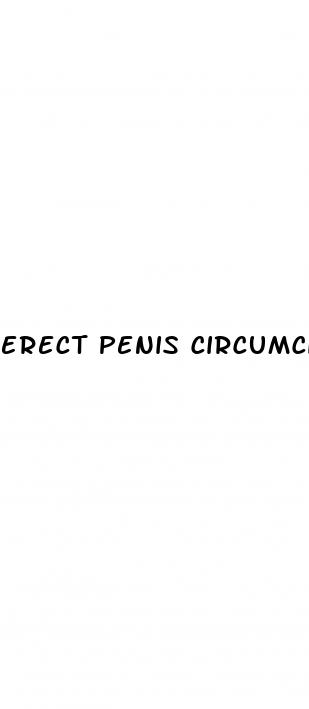 erect penis circumcision line color