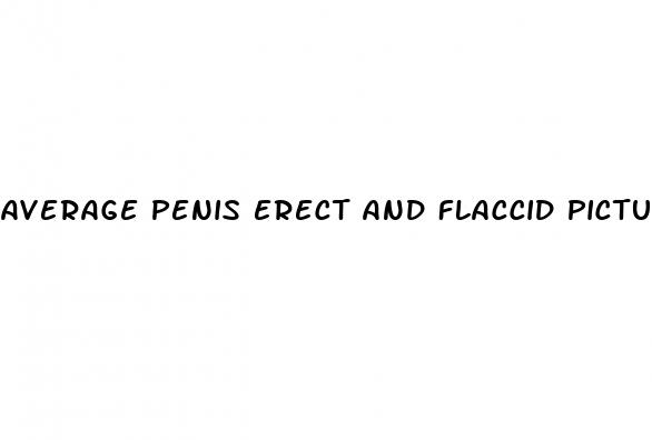 average penis erect and flaccid pictures