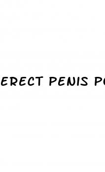 erect penis pointing to one side