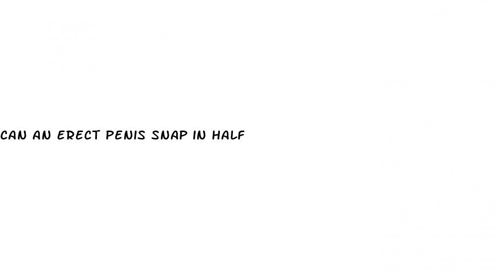 can an erect penis snap in half