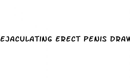 ejaculating erect penis drawing