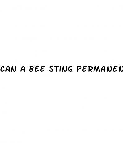 can a bee sting permanently enlarge your penis