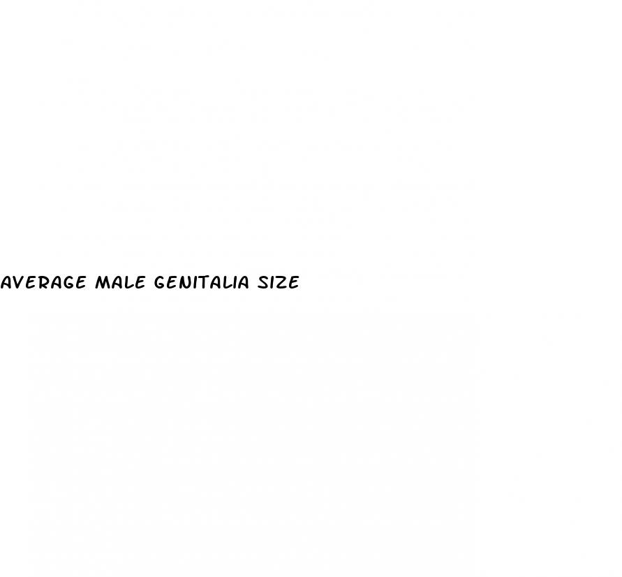 average male genitalia size