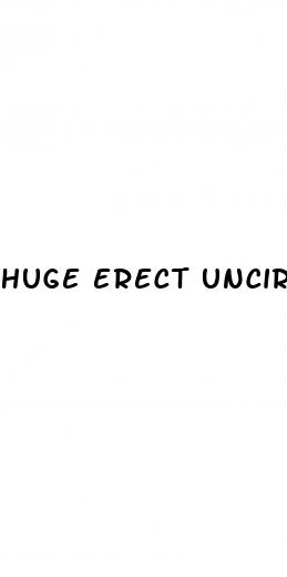 huge erect uncircumcised penis sex