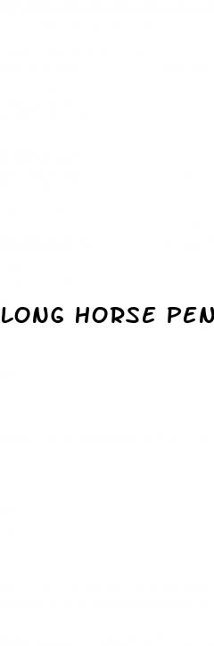 long horse penis erection sex ejaculating