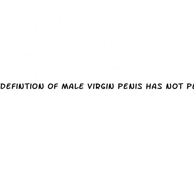defintion of male virgin penis has not penetrated erect hard