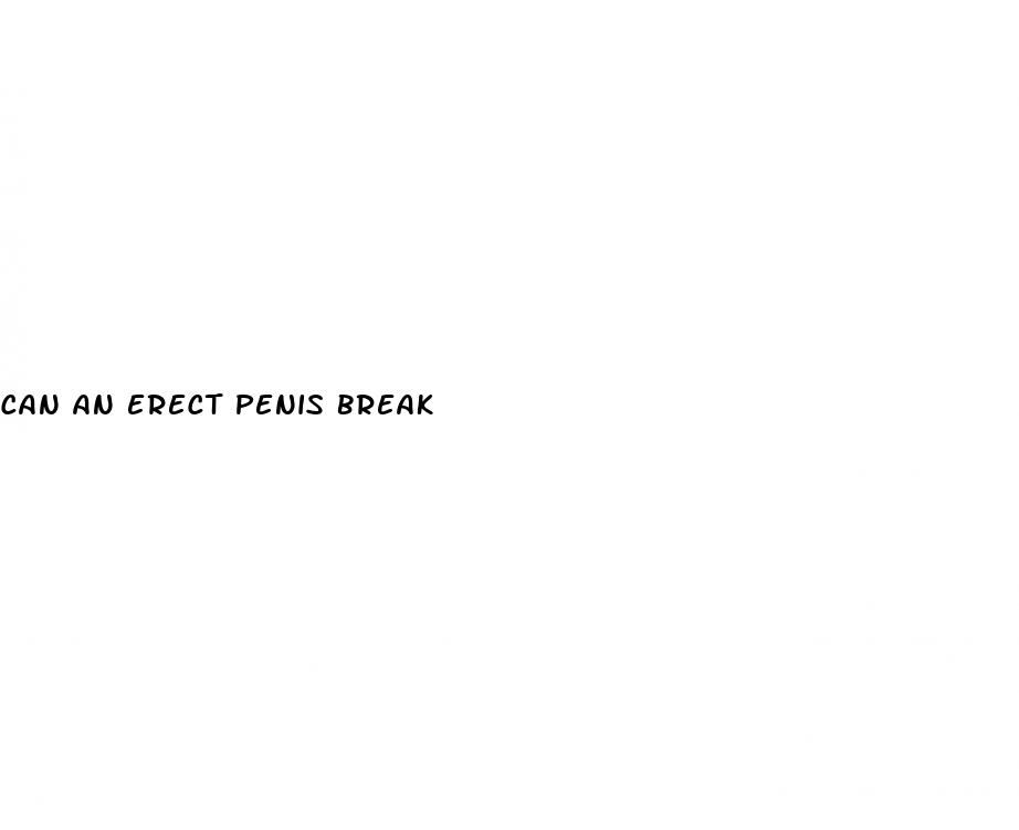 can an erect penis break