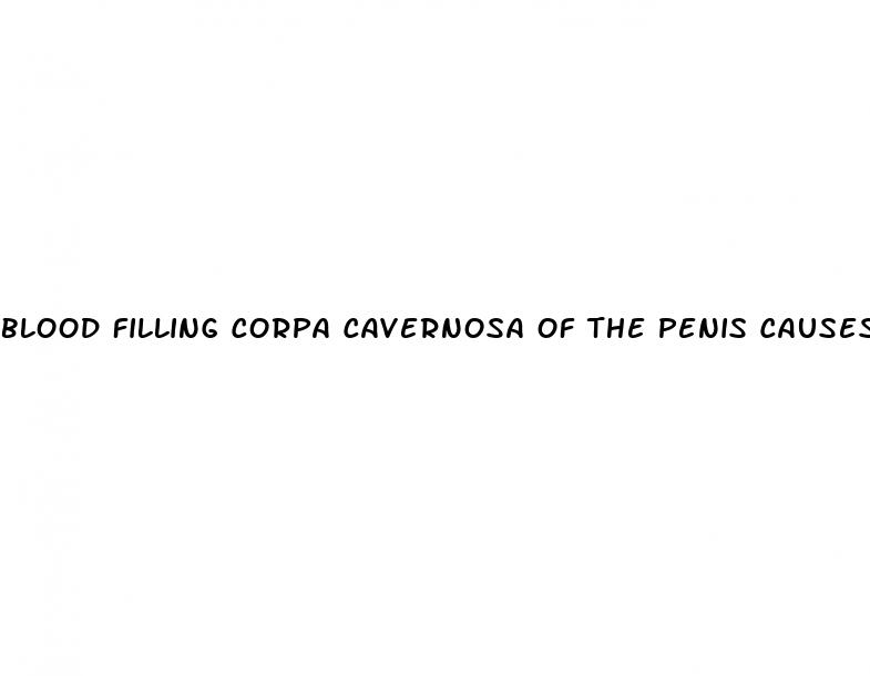 blood filling corpa cavernosa of the penis causes erection