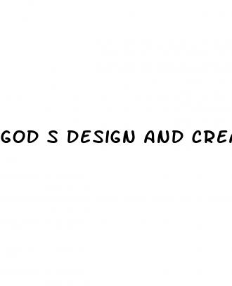 god s design and creation of male sexuality body penis erections