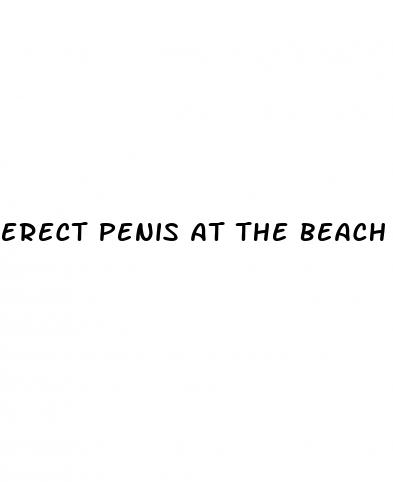 erect penis at the beach