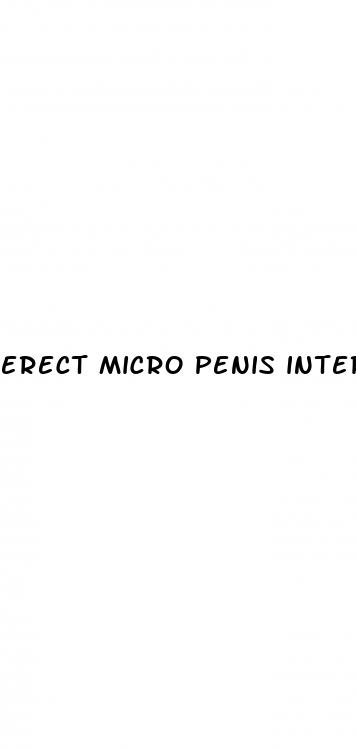 erect micro penis intercourse