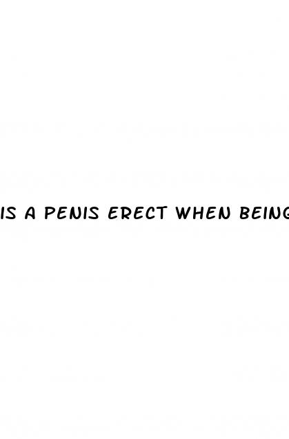 is a penis erect when being tattoo