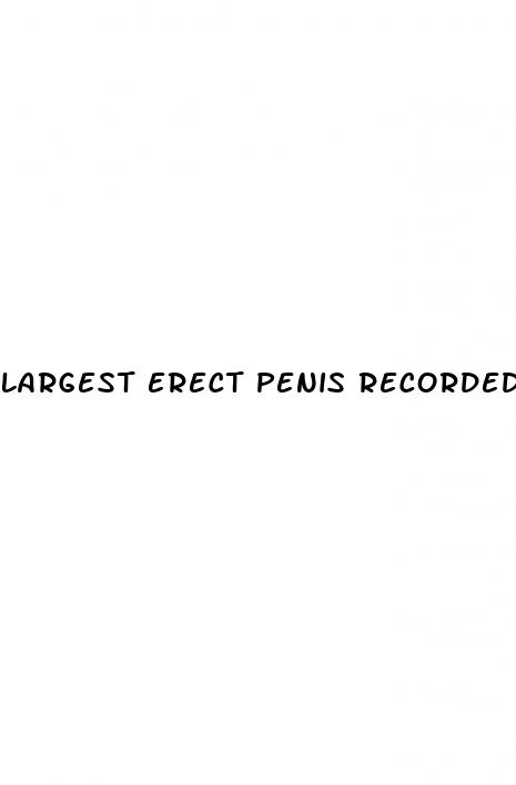 largest erect penis recorded