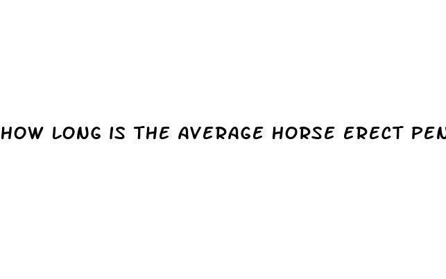 how long is the average horse erect penis