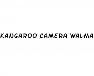 kangaroo camera walmart