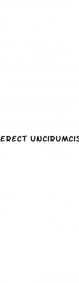 erect uncirumcised penis