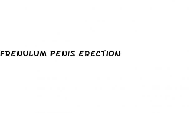 frenulum penis erection