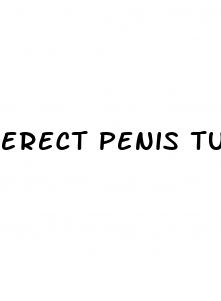 erect penis tube