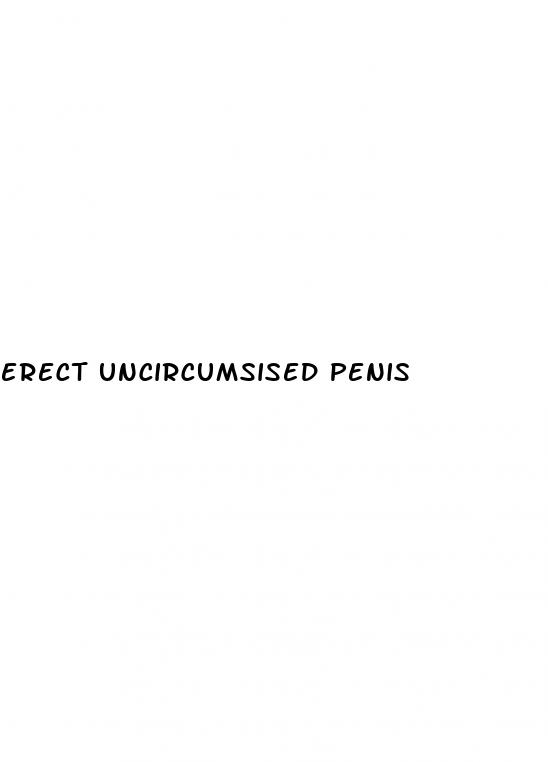 erect uncircumsised penis