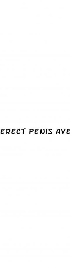 erect penis average