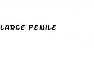large penile