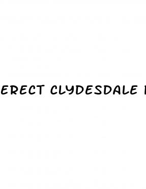 erect clydesdale penis