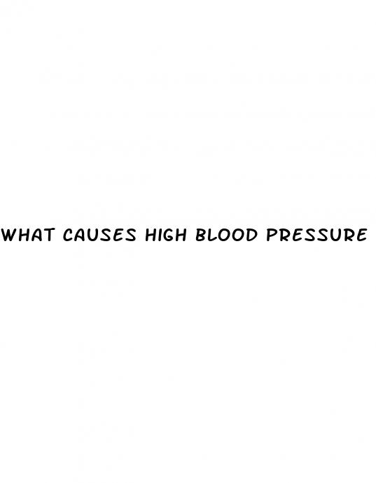 what causes high blood pressure in teens