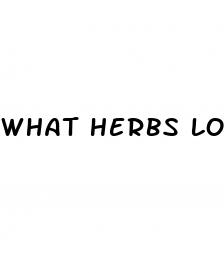 what herbs lower blood pressure