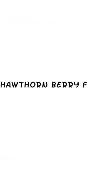 hawthorn berry for high blood pressure