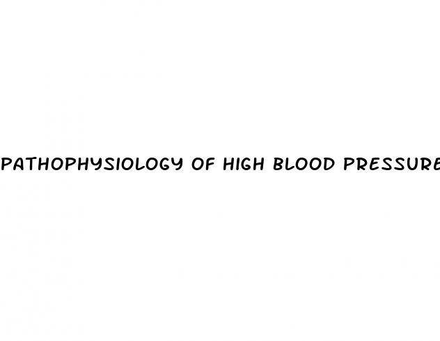 pathophysiology of high blood pressure