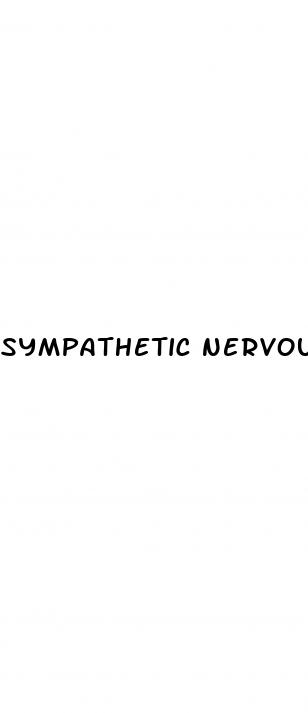sympathetic nervous system blood pressure