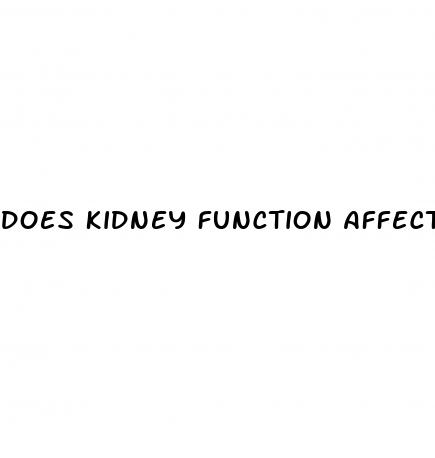 does kidney function affect blood pressure